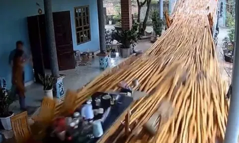 Clip: Tài xế bất cẩn khiến thân cây lao xuống phá tan bộ bàn ghế