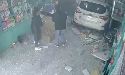 Clip: Pha vào tiệm thú cưng đầy bất ổn của nữ tài xế