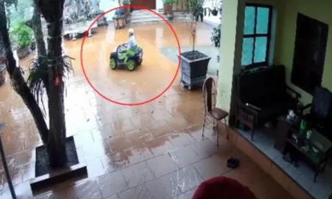Clip: Cụ ông lái xe đồ chơi làm đổ chậu hoa và màn "trách yêu" từ cụ bà