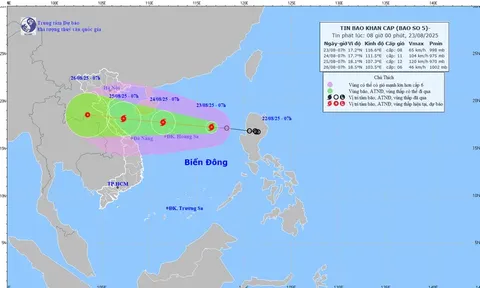 Tin khẩn cấp về cơn bão số 5