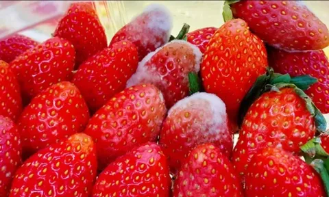 Chuyên gia Mỹ cảnh báo 3 loại thực phẩm làm tăng nguy cơ ung thư, bỏ ngay đừng tiếc