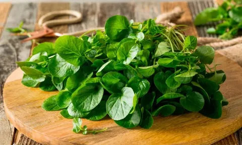 Loại rau Việt Nam được đánh giá tốt nhất thế giới về chống bệnh K, chợ bán chỉ 10 nghìn đồng/bó