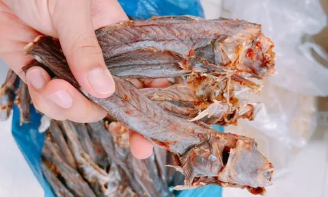 Loại cá có vẻ ngoài 'phát khiếp' là đặc sản Cà Mau, phơi khô bán 500 nghìn/ký vẫn cháy hàng