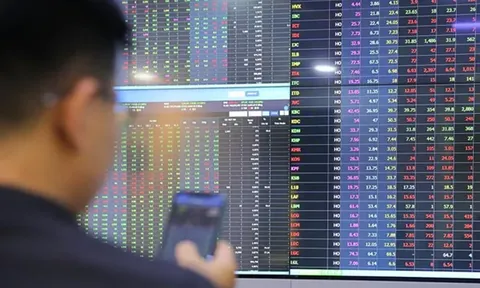 Vi phạm về chào bán, phát hành cổ phiếu riêng lẻ có thể bị phạt tới 1,5 tỉ đồng