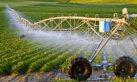 Bộ Chính trị: Đến 2030, Việt Nam có một số doanh nghiệp nông nghiệp mạnh dẫn đầu khu vực, thế giới