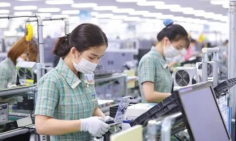 Doanh nghiệp không cung cấp thông tin tiền lương của người lao động bị phạt đến 16 triệu đồng