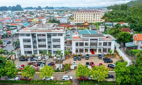 Nhiệm vụ, quyền hạn của UBND đặc khu