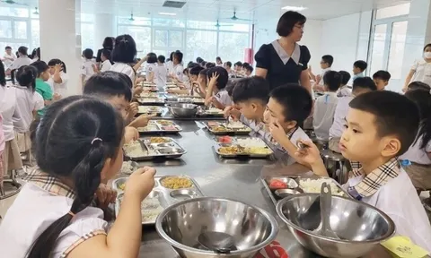 Hà Nội thông qua nghị quyết chi hơn 3.000 tỉ đồng hỗ trợ bữa ăn bán trú cho học sinh tiểu học