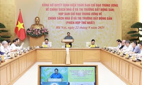 Thủ tướng: Phải trả lời được câu hỏi tại sao giá nhà chung cư lại cao và cao mãi
