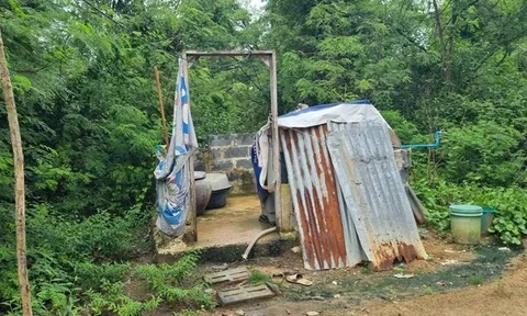 Đến nhà con nợ đòi tiền, chủ nợ xóa luôn số nợ sau khi thấy cảnh tượng trước mắt