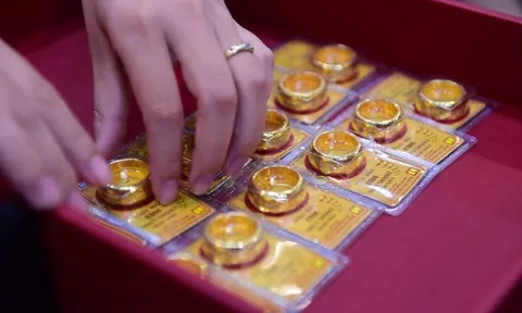 Giá vàng hôm nay (14/11): Có nên mua vào vàng nhẫn?