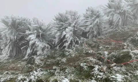 Miền Bắc rét dưới 3 độ C