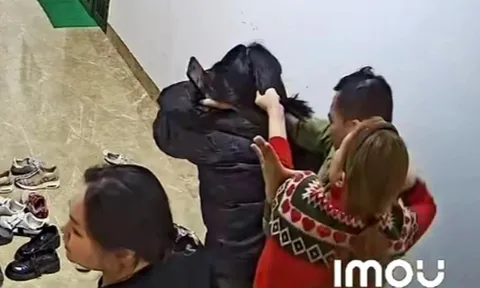 Công an vào cuộc vụ người phụ nữ bị hành hung tại hành lang chung cư ở Hà Nội