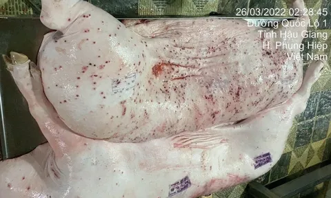 Đã rõ kết quả vụ C.P. Việt Nam bị tố bán heo bệnh