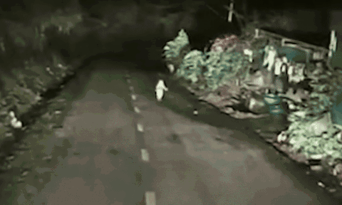 Clip: Tài xế lái xe ban đêm, camera hành trình ghi lại cảnh run sợ