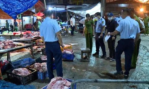 Hà Nội: Lật tẩy đường dây tuồn lợn chết ra thị trường