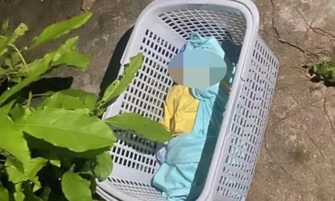 Bé gái sơ sinh bị bỏ rơi, đọc lá thư người mẹ sinh viên để lại mà vừa giận vừa thương