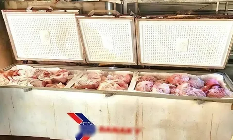 Phát hiện gần 1 tấn thịt heo nhiễm bệnh được cấp đông tại một hộ dân ở Nghệ An