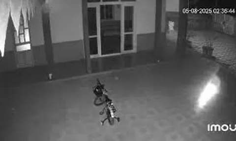 Clip: Nghe camera báo động, chủ nhà kiểm tra liền 'đứng tim' với cảnh trước mắt
