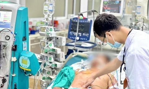 Tăng cường phòng, chống bệnh liên cầu lợn sang người