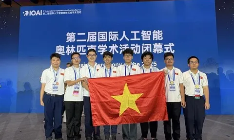 Việt Nam trong nhóm 4 quốc gia, vùng lãnh thổ đạt thành tích cao nhất tại Olympic Trí tuệ nhân tạo quốc tế