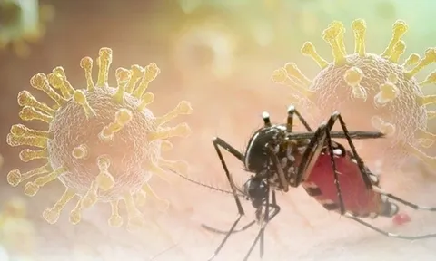Bộ Y tế khuyến cáo khẩn các biện pháp phòng, chống bệnh Chikungunya