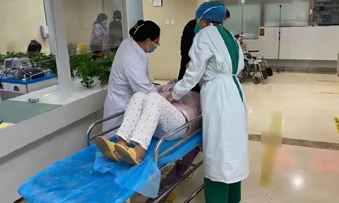 Ngâm nấm rồi xào với thịt, người phụ nữ nhập viện nguy kịch sau khi ăn