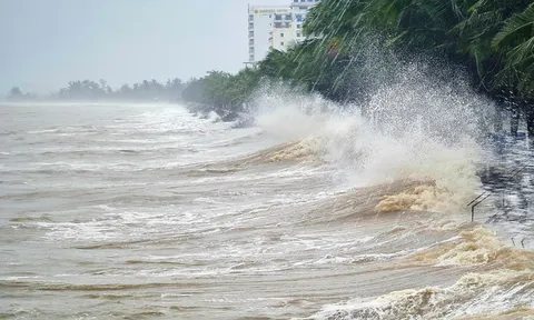 Bão số 5 đặc biệt nguy hiểm, không kém bão Yagi về sức gió