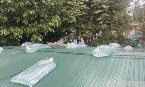 Trèo lên mái tôn chống bão số 5, chồng bị điện giật tử vong, vợ và con bị thương