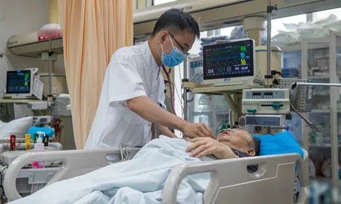 Ăn cơm bằng loại đũa cực độc này, cả nhà bàng hoàng cùng mắc ung thư