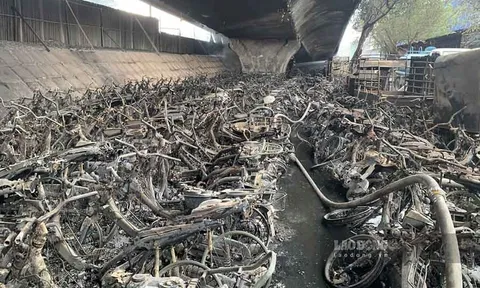 Khẩn trương điều tra nguyên nhân vụ cháy bãi xe dưới chân cầu Vĩnh Tuy​