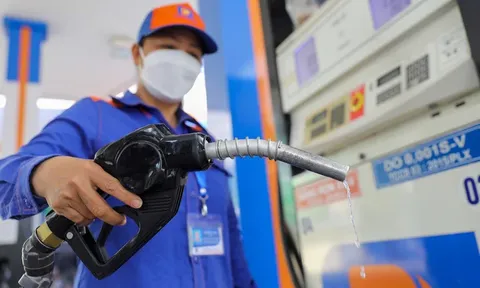 Giá xăng dầu hôm nay 7/9: Giảm rất mạnh