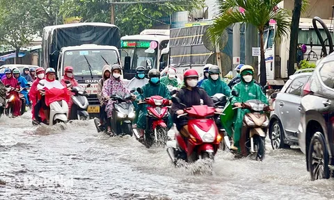 Chủ động ứng phó siêu bão RAGASA, bảo đảm an toàn cho người và phương tiện tham gia giao thông