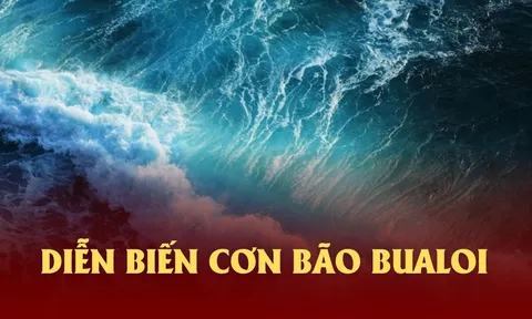 Diễn biến của bão BUALOI