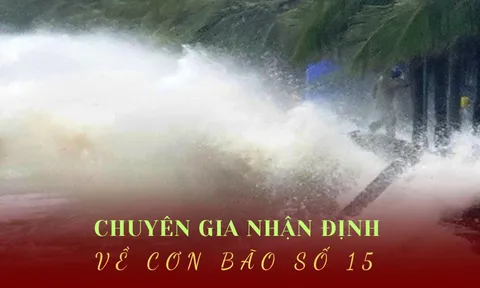 Chuyên gia nhận định gì về cơn bão số 15 có thể gây mưa lớn Nam Trung Bộ?