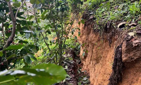 Xuất hiện vết nứt dài 100m ở Lâm Đồng, có nguy cơ sạt lở