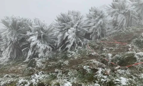 Không khí lạnh tăng cường, Bắc Bộ – Trung Bộ rét sâu, biển động mạnh