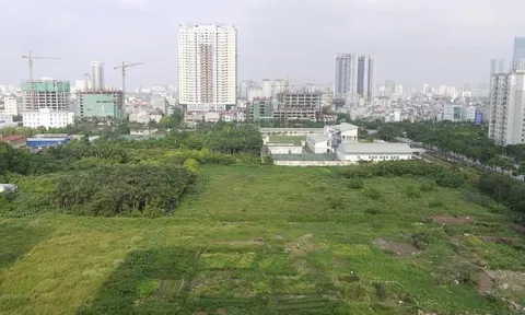 Đất không sử dụng bao nhiêu năm thì bị mất quyền sử dụng?
