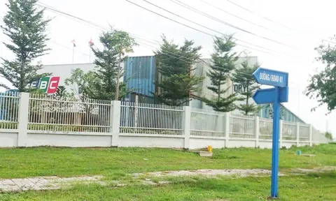 Khởi tố vụ án "sản xuất, buôn bán hàng giả" xảy ra tại công ty của chồng Đoàn Di Băng