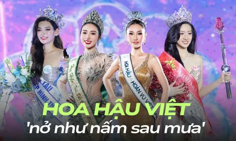 Hoa hậu Việt 'nở như nấm sau mưa': Cứ 13 tiếng lại có một người đội vương miện