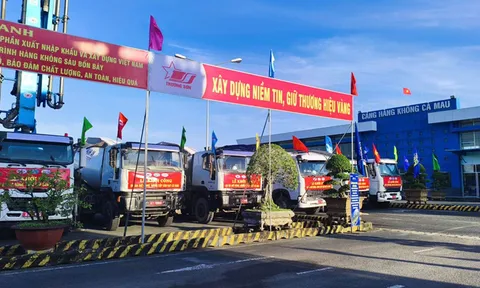 Đồng bằng sông Cửu Long: Khởi công xây dựng nhiều cảng, nhà máy điện khí
