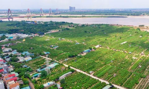 Hà Nội đề xuất được xây dựng công trình trên đất nông nghiệp