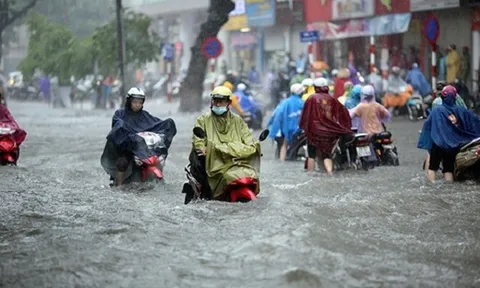 Vi phạm giao thông khi mưa bão, ngập lụt có bị xử phạt?