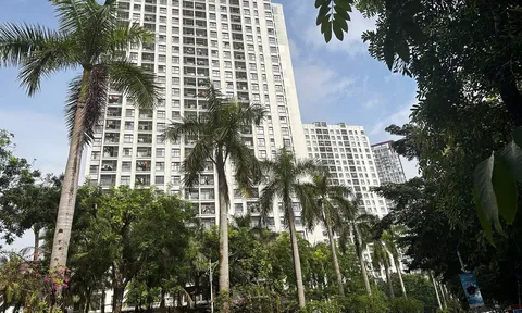 UBND xã Phụng Công yêu cầu niêm yết công khai các hợp đồng và nhiều chỉ đạo nhằm ổn định tình hình khu chung cư Westbay