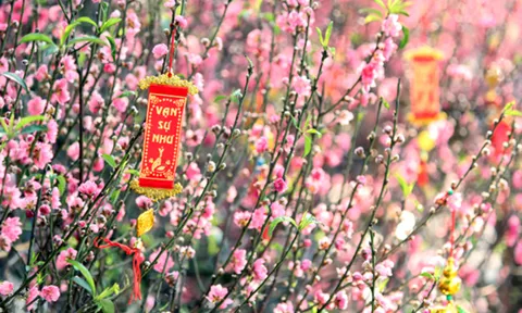 Hà Nội thông báo lịch nghỉ Tết Âm lịch, lễ Quốc khánh năm 2026