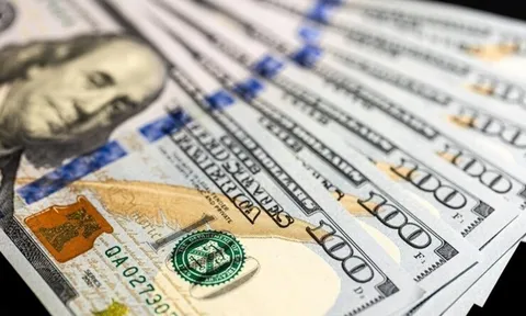 Ngân hàng Nhà nước đề nghị các bộ, ngành giám sát việc mua, bán ngoại tệ