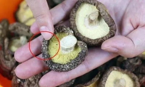 Chuyên gia Mỹ cảnh báo 3 loại thực phẩm làm tăng nguy cơ ung thư, bỏ ngay đừng tiếc