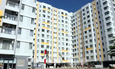 Đối tượng được ưu tiên thuê nhà là tài sản công