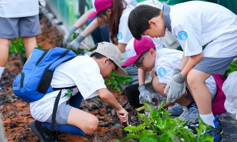 AEON kiến tạo thế hệ người tiêu dùng bền vững