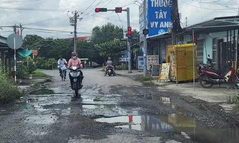 Đồng Tháp: Cần khẩn trương nâng cấp, sửa chữa đường tỉnh 873 ở phường Sơn Qui